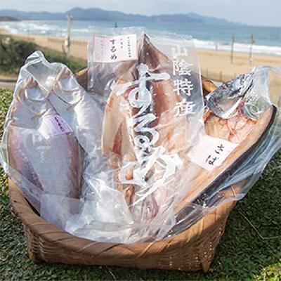 ふるさと納税 京丹後市 丹水こだわりおまかせ干物セット(さばと季節の干物2〜3種) |  | 02
