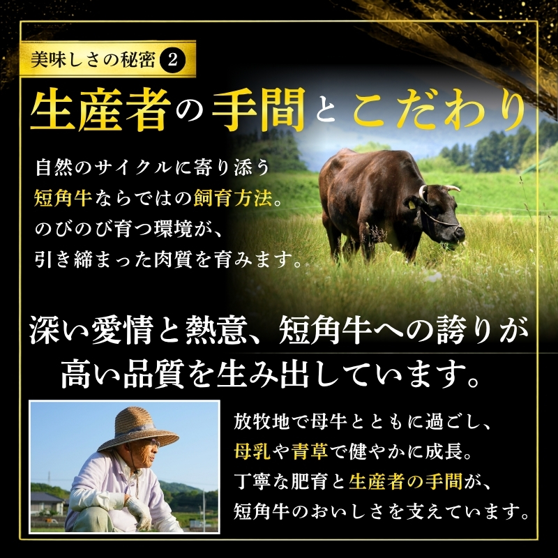 もりおか短角牛 ステーキ モモ 600g 100g×6枚 冷凍 盛岡産 国産 希少 高級 和牛 国産牛 ブランド牛 短角牛 赤身 モモステーキ ステーキ肉 ステーキ用 すてーき もも ぎゅうにく 岩手県 盛岡市 赤身肉 BBQ キャンプ ご飯 焼肉 盛岡 有限会社トゥレイス