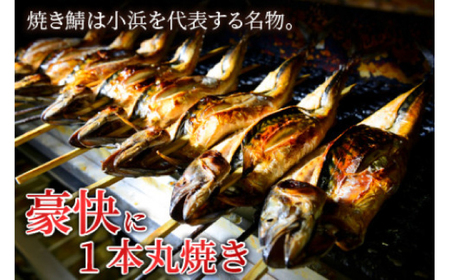 へしこと焼き鯖セット 合計2本 サバのへしこ 名産品 ご飯のお供 【配送不可地域：北海道・沖縄・離島】 [BFAA061] 