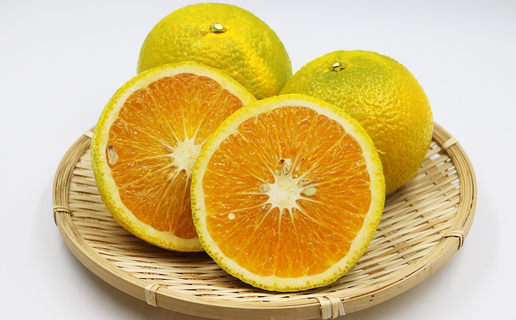 八朔らしいゴツゴツとした外観が特徴ですが、皮は温州みかんのように鮮やかなオレンジ色へと色づきます。