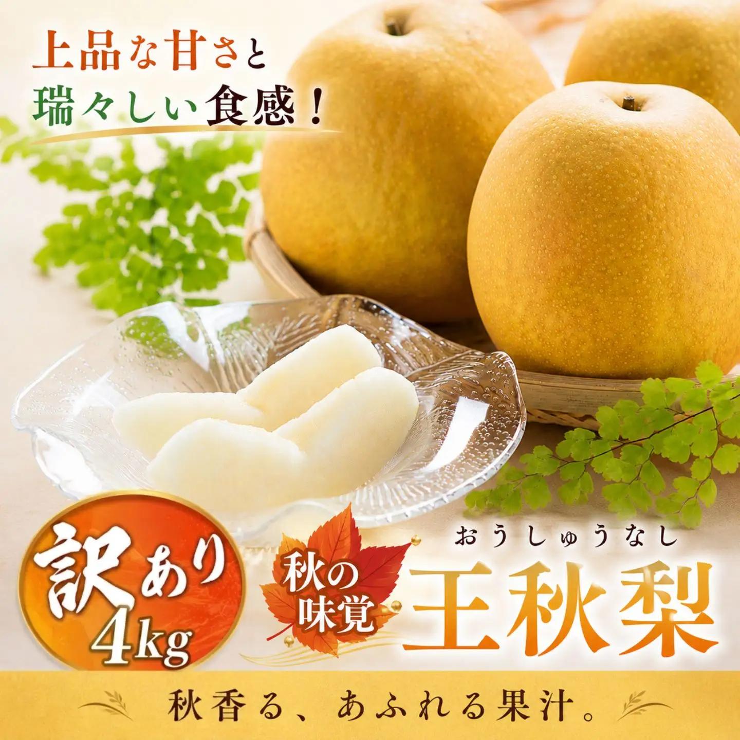 Y039【訳あり】王秋梨 4kg