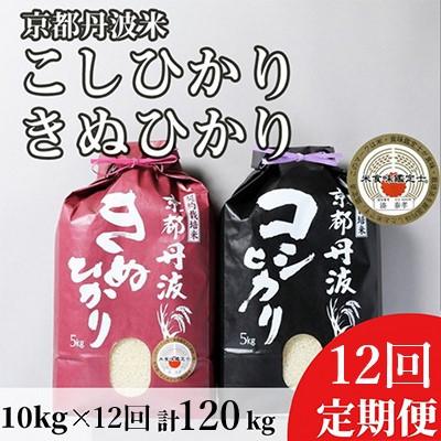 ふるさと納税 亀岡市 【毎月定期便】京都丹波米 こしひかり5kg・きぬひかり5kg 食べ比べ全12回