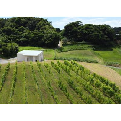 ふるさと納税 館山市 マシューズワイン　サザングレイス　赤白セット　(シラーズ/シャルドネ)各750ml×1本(計2本) |  | 03