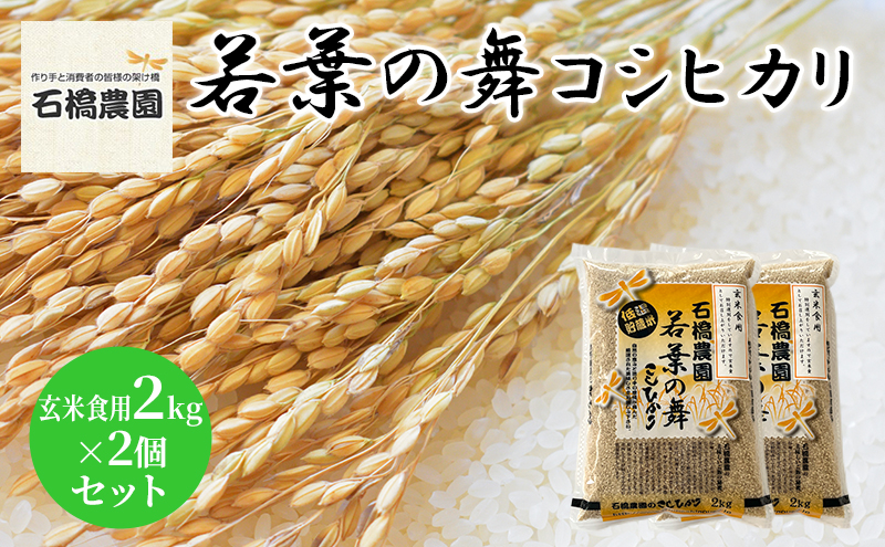 
米 若葉の舞 コシヒカリ 玄米食用2Kg×2個セット こしひかり セット お米 玄米 千葉 千葉県 低温保存 [№5346-0836]
