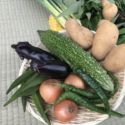 ふるさと納税 神栖市 【ハーフサイズ】『身体が喜ぶ野菜』詰め合わせ(6〜7品) |  | 02