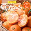 【ふるさと納税】【平武農園より農家直送！】有田みかん 訳あり3kg(3L～3S) 蛍飛ぶ町から旬の便り 【ミカン 蜜柑 柑橘 温州みかん 有田みかん 和歌山 有田 田口】