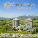 【ふるさと納税】ホテルエピナール那須施設利用券(300,000円分) ｜ 温泉 露天風呂 宿泊 旅行 チケット 宿泊券 宿泊ギフト券 利用券 観光 リゾートホテル アクティビティ 栃木県 那須町〔P-178〕※着日指定不可