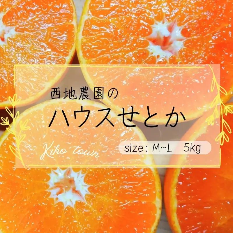 せとか 西地農園のハウスせとか 5kg L～Mサイズ【mnd004C】