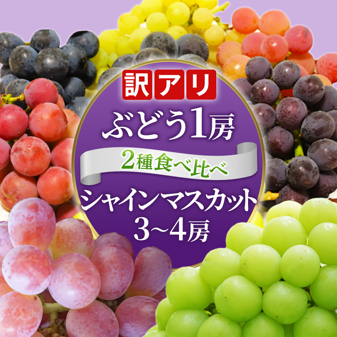 ＼訳あり ご家庭用／シャインマスカット (3～4房) ＆ 種なし 大粒ぶどう (1房) 合計 4～5房入 ブドウ 葡萄 フルーツ 果物 旬 わけあり 先行予約 食べ比べ くだもの ふるーつ マスカット 取り寄せ 詰め合わせ 種無し 種なし セット デザート (DM006)