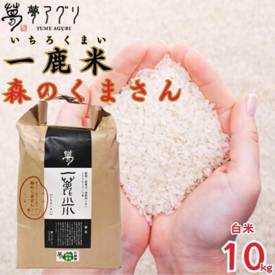 ふるさと納税 山鹿市 一鹿米 森のくまさん 栽培期間中肥料農薬不使用 米白米 10kg【株式会社 夢アグリ】《山鹿市》