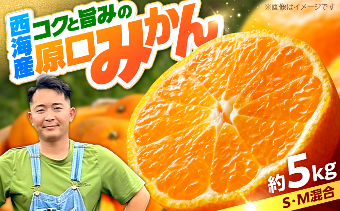 
                  【先行予約】 【数量限定】 原口 みかん 約5kg （傷み保証分200g含む）みかん ＜田川農園＞ [CGR001] 長崎県 西海市 みかん ミカン 柑橘 フルーツ 西海 オレンジ 果物 ミカン 贈答 ギフト フルーツ 果実 甘い あまい デザート 新鮮 産地直送 くだもの mikann mikan
                