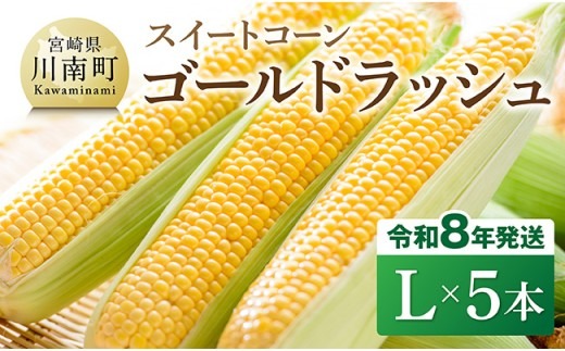 【令和8年発送】宮崎県産とうもろこし　スイートコーン「ゴールドラッシュ」L×5本【新鮮 農家直送 トウモロコシ 産地直送 季節限定 期間限定 宮崎県産 九州産】 [C09107]