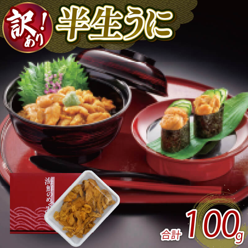 【ふるさと納税】 訳あり 岩手県産 半生うに 100g 冷凍 うに ウニ 雲丹 キタムラサキウニ ミョウバン不使用 ウニ丼 丼 おつまみ 晩酌 海鮮 海産物 珍味 日本三大珍味 三陸 岩手県 大船渡市