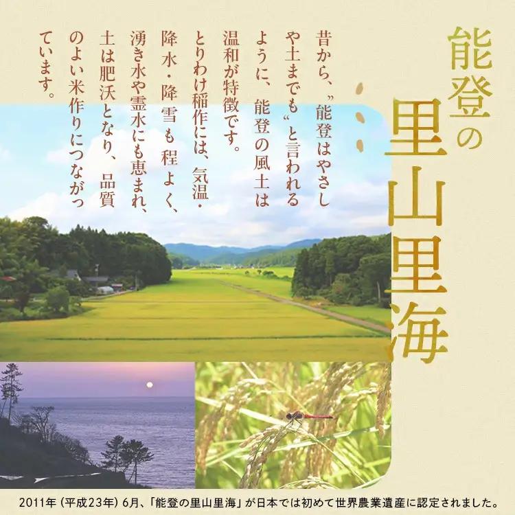 令和7年産 等伯米こしひかり10kg(5kg×2袋) | 米 ※2026年6月～発送