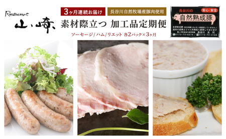 豚肉加工品セット ソーセージ ハム リエット 豚肉加工品セット【各2パック】【定期便3ヶ月】