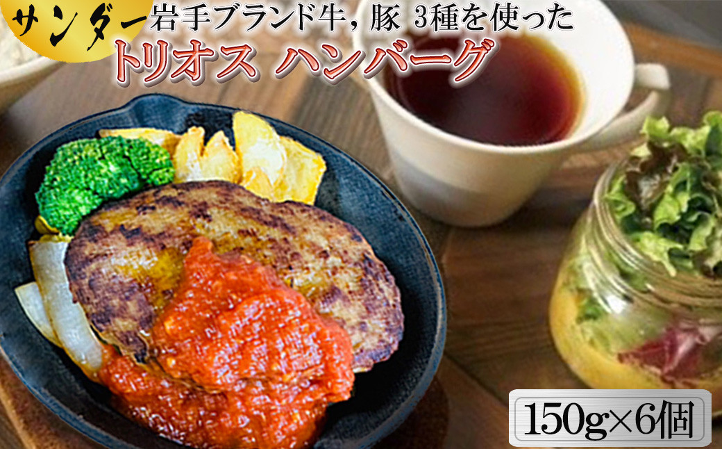 
サンダートリオスハンバーグ 150g×6個 【1869】
