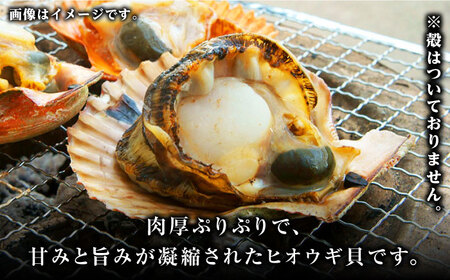 ヒオウギ貝　むき身　2個串刺し×9パック　《対馬市》【対馬新鮮組】　肉厚　ひおうぎ貝　下処理済　貝　新鮮　特産品　冷凍配送[WCS012]