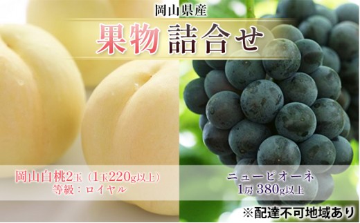 
                  [№5615-0709]ぶどう 2026年 先行予約 果物 詰合せ 岡山 白桃 2玉 等級：ロイヤル（1玉220g以上） ニュー ピオーネ 1房 380g以上 もも 葡萄 岡山県産 国産 フルーツ 果物 ギフト
                