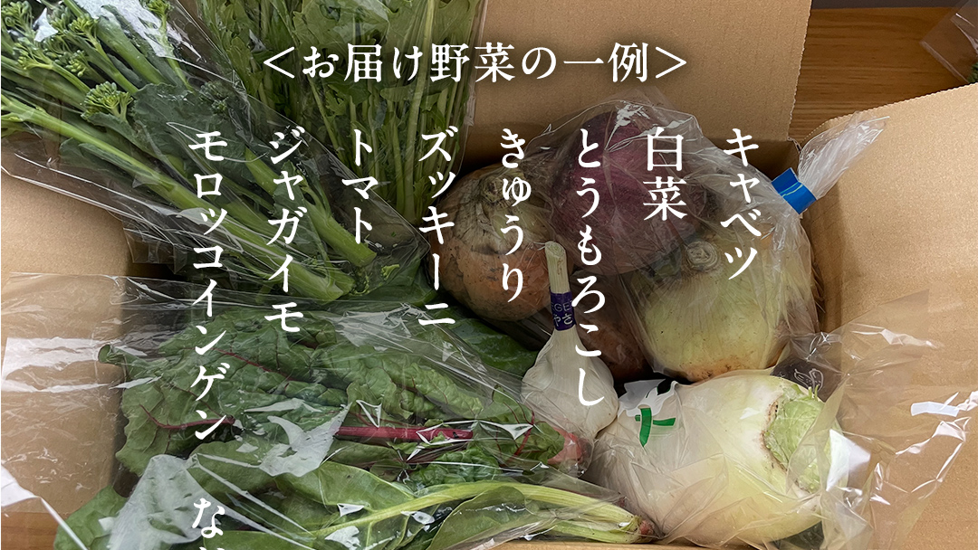 本日のおまかせ 高原野菜 5種以上 の 詰合せ と 加工品 1つ のセット 計10kg おまかせ 野菜 野菜セット 旬の野菜 産地直送 嬬恋キャベツ 加工品 酢 佃煮 漬物 惣菜 [AF028tu]