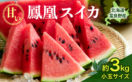 【2026年夏発送】ふらの山部の秀品スイカ『鳳凰スイカ』約3kg 1玉(坂口農産) 北海道 富良野産 すいか 西瓜 夏 フルーツ 果物 くだもの 青果