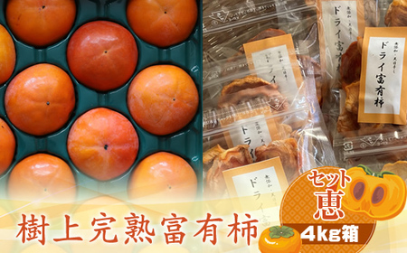 【先行予約】樹上甘熟富有柿 【セット恵】4kg箱　〈出荷時期：2026年11月15日～2026年12月10日出荷終了〉【 柿 かき フルーツ 神奈川県 海老名市 】