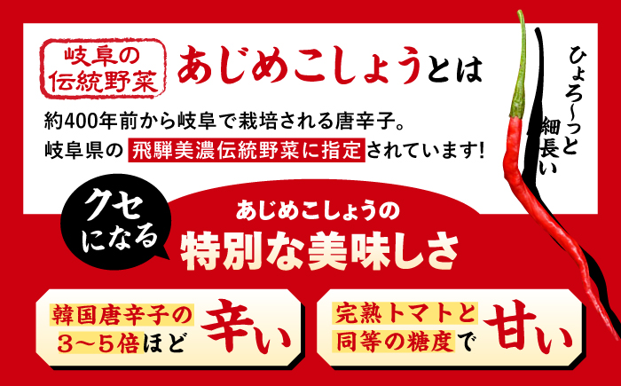 【スピード配送】LGASIA （ルガシア）オリジナルスパイスAJIME 15g×3本 50g×3本 / アウトドア キャンプ スパイス 調味料 / 恵那市 / ＭＡＣ [AUDM031]