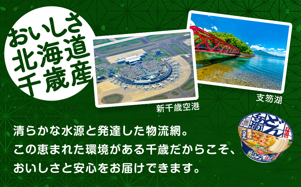 【定期便6カ月】日清 北のどん兵衛 天ぷらうどん [北海道仕様]12個