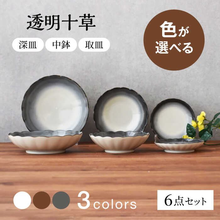 【ふるさと納税】色が選べる 【美濃焼】 透明十草 深皿 中鉢 取皿 6点セット　【見谷陶器】 和食器 取り皿 器[MCG038]
