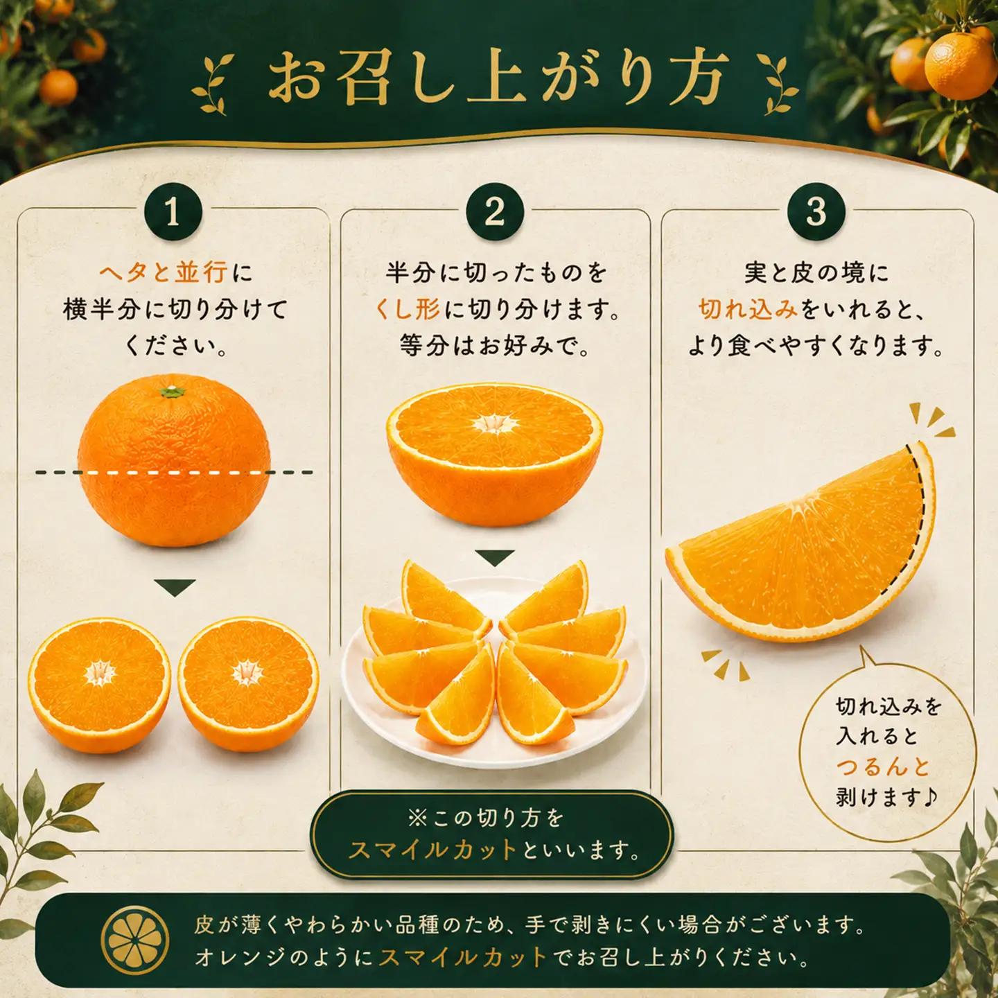 【紅まどんなと同品種】茨木農園の愛果28号_大箱（8～11個）｜まどんな