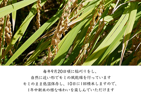 『先行予約』【令和7年産新米】特別栽培棚田米「蕨野」5kg×1袋(合計5kg) 家庭排水が一切入らない自然水で作られたお米 10日に1回精米で新米のような味わい