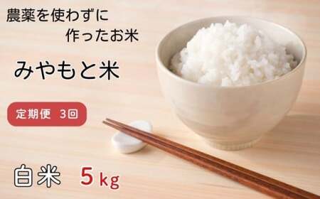 【定期便3回】農薬を使わずに作ったお米　みやもと米（白米）　5kg