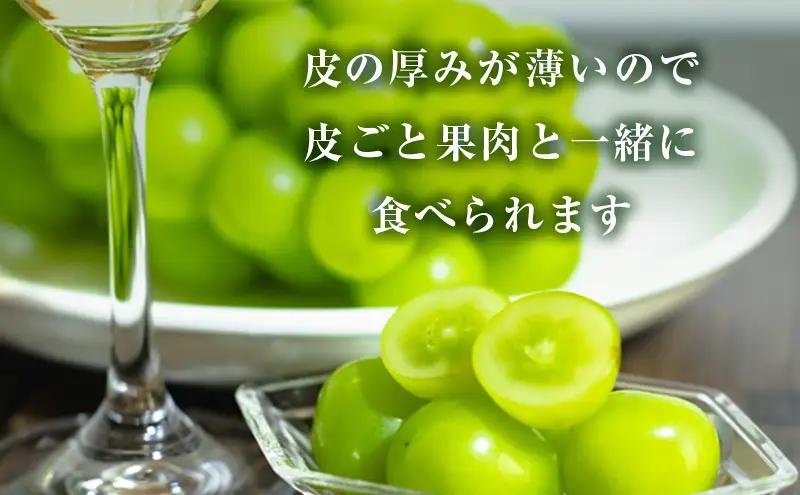 訳あり シャインマスカット 4～5房 合計約2kg 岡山県 高梁市産 2026年 先行予約 常温 ぶどう フルーツ 葡萄 ブドウ 皮ごと 産地直送 大粒 爽やか 食べやすい