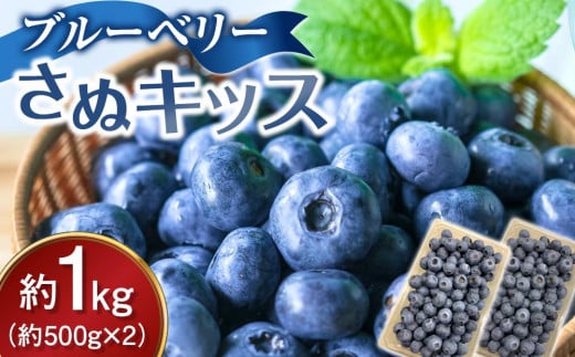 
                  ブルーベリー さぬキッス 約1kg (約500g×2）
                