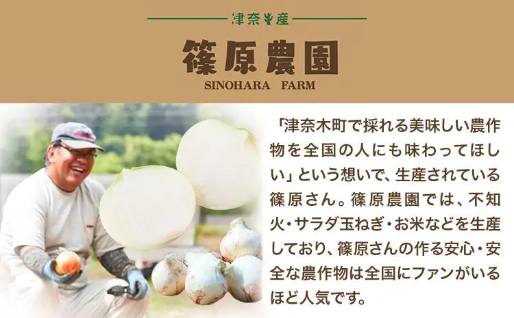 玉ねぎ 訳あり 節減対象農薬 当地比5割減 サラダ玉ねぎ (S-2Lサイズ) 5kg《3月下旬-4月下旬頃出荷予定》熊本県 葦北郡 津奈木町 篠原農園 野菜 たまねぎ 自然栽培
