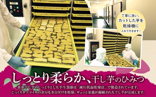 1010. 干し芋 紅はるか ほしいも 黄金干し芋 無添加 国産 200g 2個 セット お菓子 スイーツ おかし さつまいも 干しいも 干しイモ ほしいも 6000円 北海道 弟子屈町