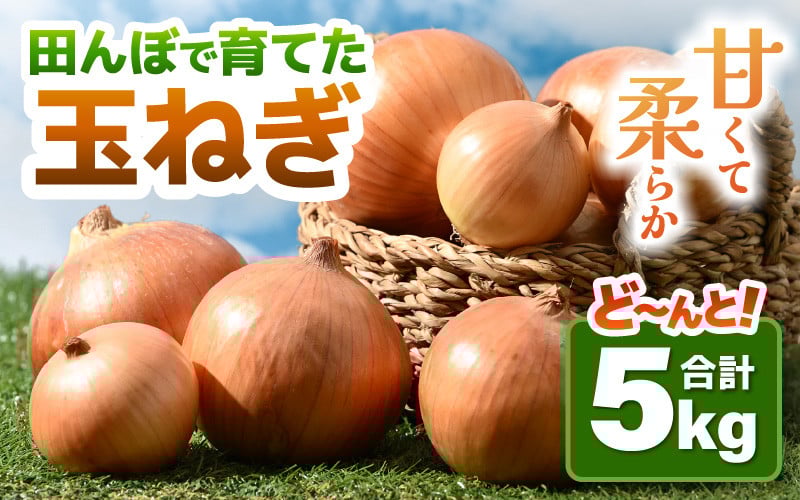 
            【先行予約】玉ねぎ 5kg（サイズ S M L ミックス）田んぼで育てた甘くて柔らか自慢の玉ねぎ！／ 野菜 万能 料理 常備 玉葱 BBQ たまねぎ 玉ネギ サラダ スープ ※2025年7月上旬より順次発送予定 [aw056-a021]
          
