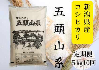 【令和7年産新米】【10回定期便】「米屋のこだわり阿賀野市産」コシヒカリ 5kg×10回 1E23167