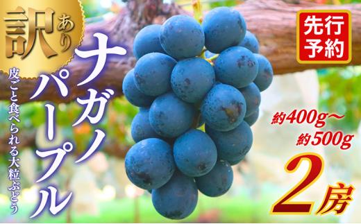 
                  【★先行予約】【訳あり】長野県産ナガノパープル 約400～500g×2房 見た目にワケあり 味はそのまま 一粒が大きい 果物 旬のフルーツ 長野県 上田 信州 [№5312-1648]
                