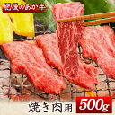 【ふるさと納税】肥後のあか牛 焼き肉用 500g 長洲501 熊本 特産 あか牛《90日以内に出荷予定(土日祝除く)》