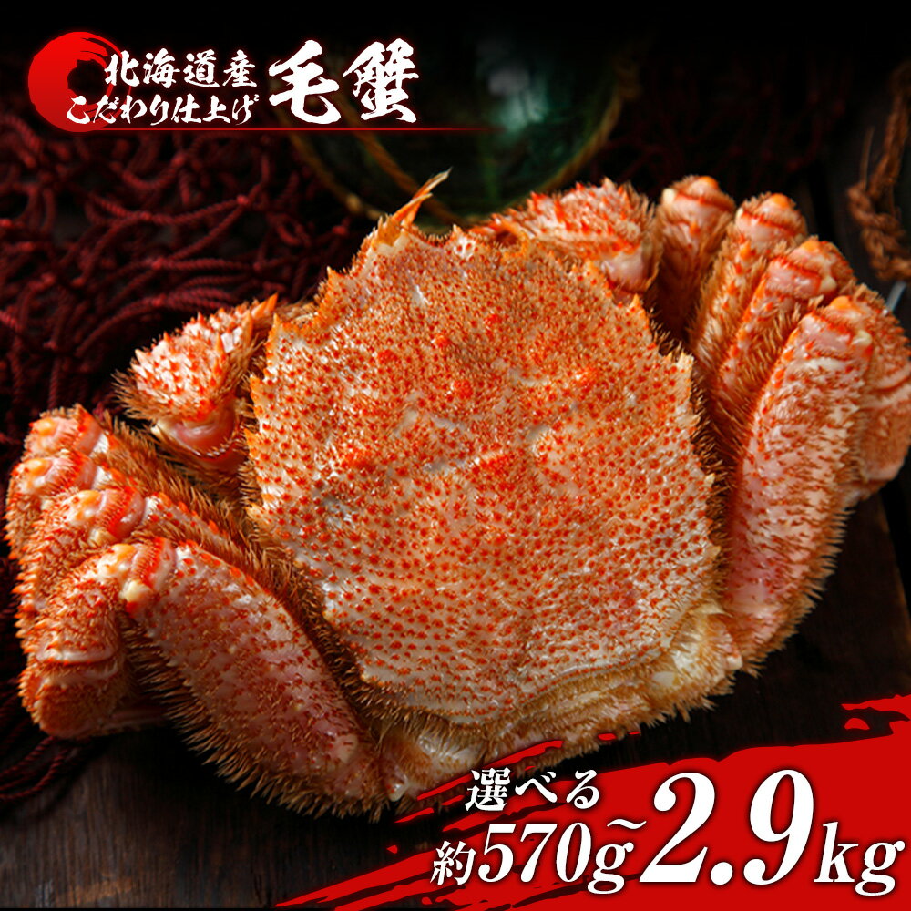 【ふるさと納税】毛蟹 ボイル済み 冷凍 選べる1尾～5尾セット 1尾約570g BM294ボイル 毛がに 毛ガニ 毛蟹 ボイル 蟹 カニ 北海道ふるさと納税 白老 ふるさと納税 北海道 年末