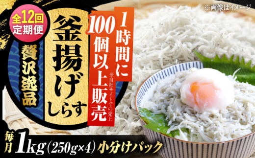 【全12回定期便】鮮度抜群＆水分率80％!　ふわふわ　釜揚げしらす 1kg 冷凍 しらす シラス 干し 釜揚げ 小分け 魚介類 鮮魚 ギフト 料理 シラス丼 しらす丼 海鮮丼 生 生産地 おつまみ ご飯のお供 グルメ やみつき 旬 国産 広島県産 リピート ギフト プレゼント 贈答 人気 高品質 好評 保存方法 江田島市/三島水産株式会社 [XCN010]