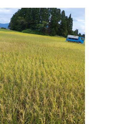 ふるさと納税 花巻市 銀河のしずく 厳選プレミアム(栽培期間中農薬・化学肥料削減)白米 5kg タカハシ農園 |  | 03