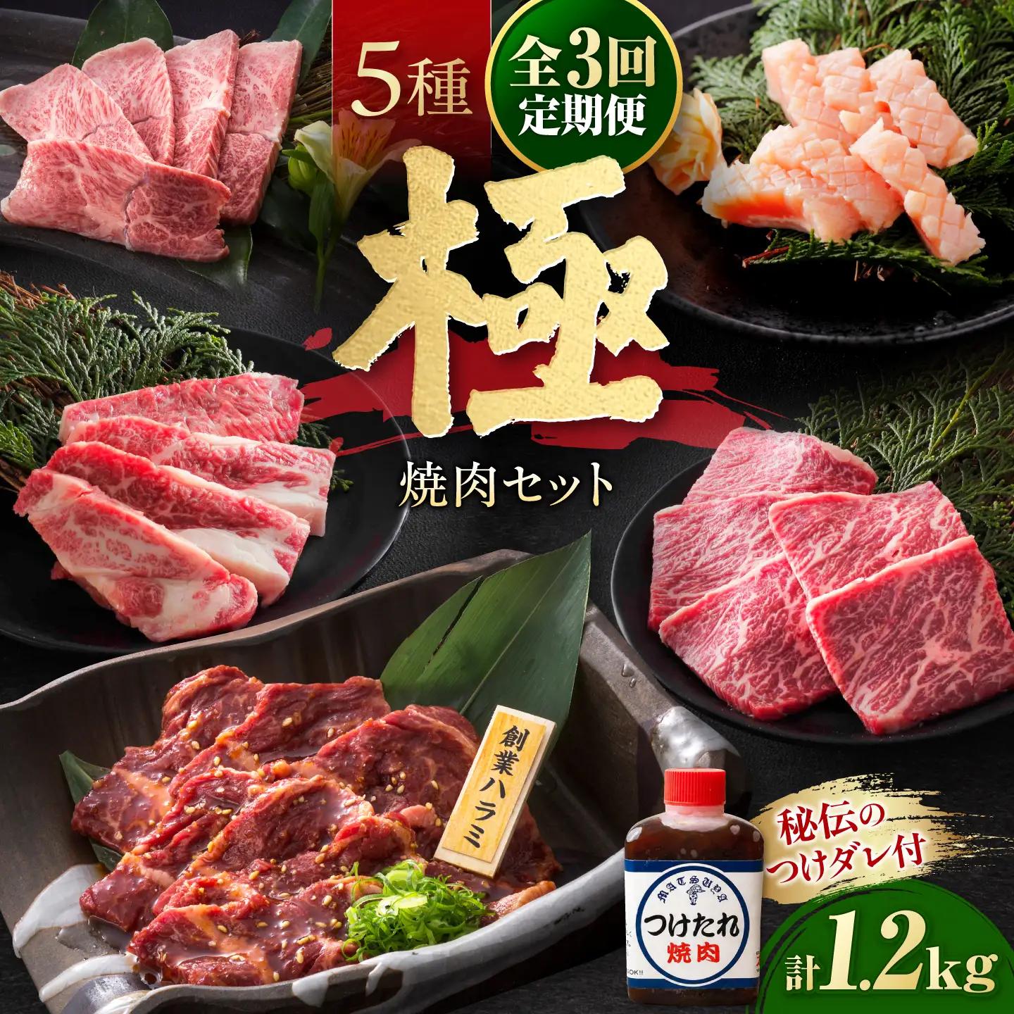 【全3回定期便】焼肉セット 極 1.2kg / 肉 牛肉 牛 焼肉 焼き肉 やきにく BBQ バーベキュー キャンプ アウトドア 鉄板焼き セット 詰め合わせ 食べ比べ 国産 冷凍 小分け ミノ ホルモン ロース ハラミ カルビ バラ バラ肉 上カルビ 約 1kg / 大阪府藤井寺市/株式会社 松屋[BLCD011]