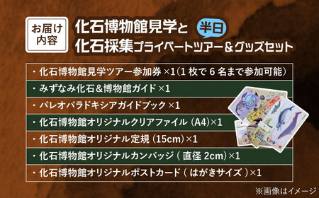 瑞浪市化石博物館 見学と化石採集プライベートツアー（半日）＆ グッズセット 瑞浪市[AZCJ005]