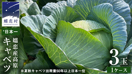 【7月中旬発送開始】 嬬恋キャベツ 嬬恋産 高原キャベツ3玉1ケース Lサイズ 先行予約 2026年発送 [AS010tu]