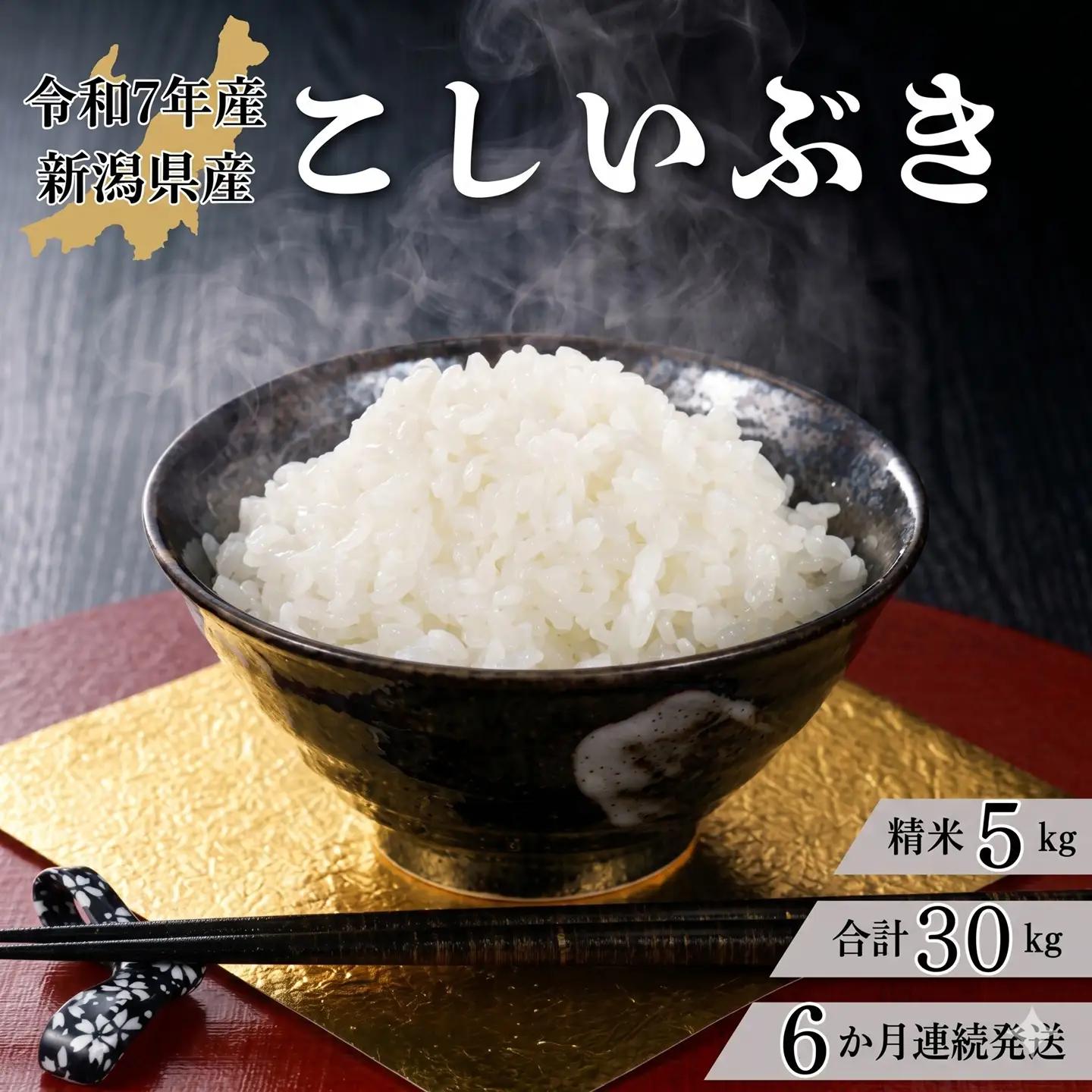 米 【6か月定期便】R7年産 新潟県産 こしいぶき 5kg （精米）