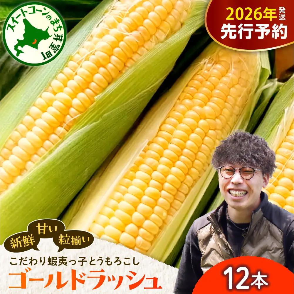 【2026年7月25日～8月15日頃発送予定】朝採りをお届け！ 北海道十勝芽室町　蝦夷っ子とうもろこし ゴールドラッシュ 12本 スイートコーン ゴールドラッシュ キャンプ飯 BBQ ソロキャン人気 
