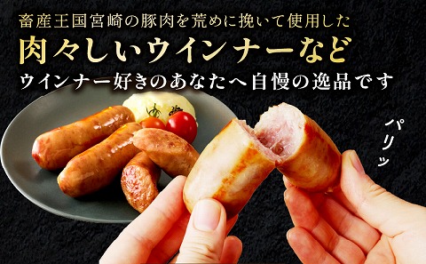 宮崎県産豚肉ハム・ウインナーセット（合計1.25ｋｇ9種類）