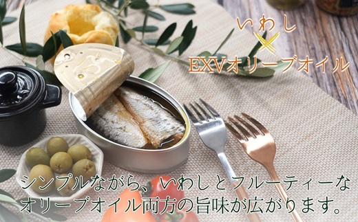 缶詰工場直送 「旬ほとぎ」イワシオリーブオイル12缶【B0-182】  ふるさと納税 イワシ缶 缶詰 工場直送 いわし ご飯のお供 非常食 保存食 送料無料