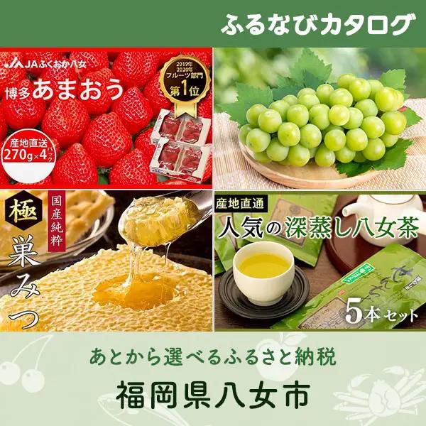 【有効期限なし！後からゆっくり特産品を選べる】福岡県八女市カタログポイント